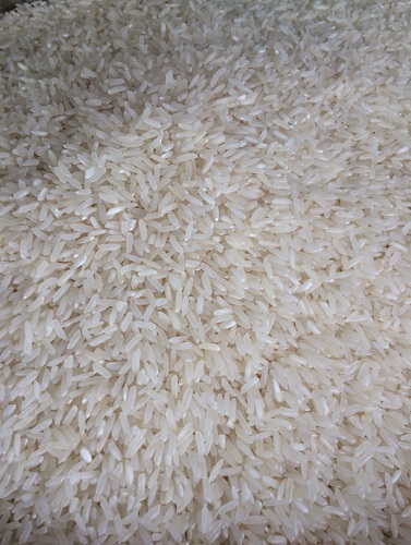gạo 5451 là gạo gì