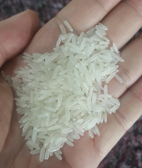 gạo lài miên